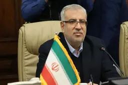 وزیر نفت: مردم لباس گرم بپوشند و دمای خانه را یک درجه کاهش دهند