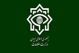 اطلاعیه وزارت اطلاعات درباره حادثه تروریستی کرمان

