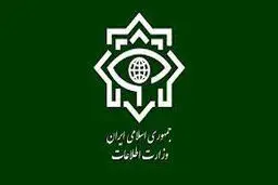 اطلاعیه وزارت اطلاعات درباره حادثه تروریستی کرمان

