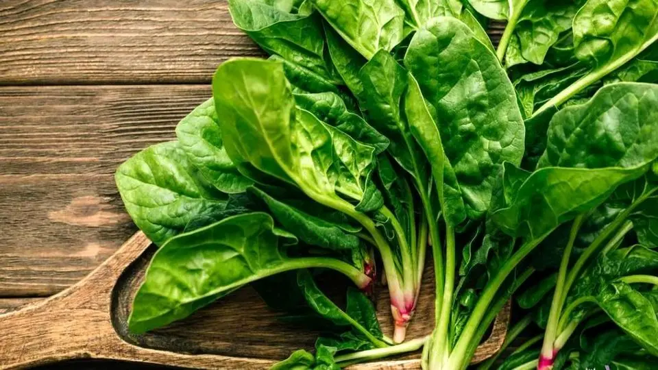 یک سبزی ارزان برای بیماران مبتلا به فشارخون