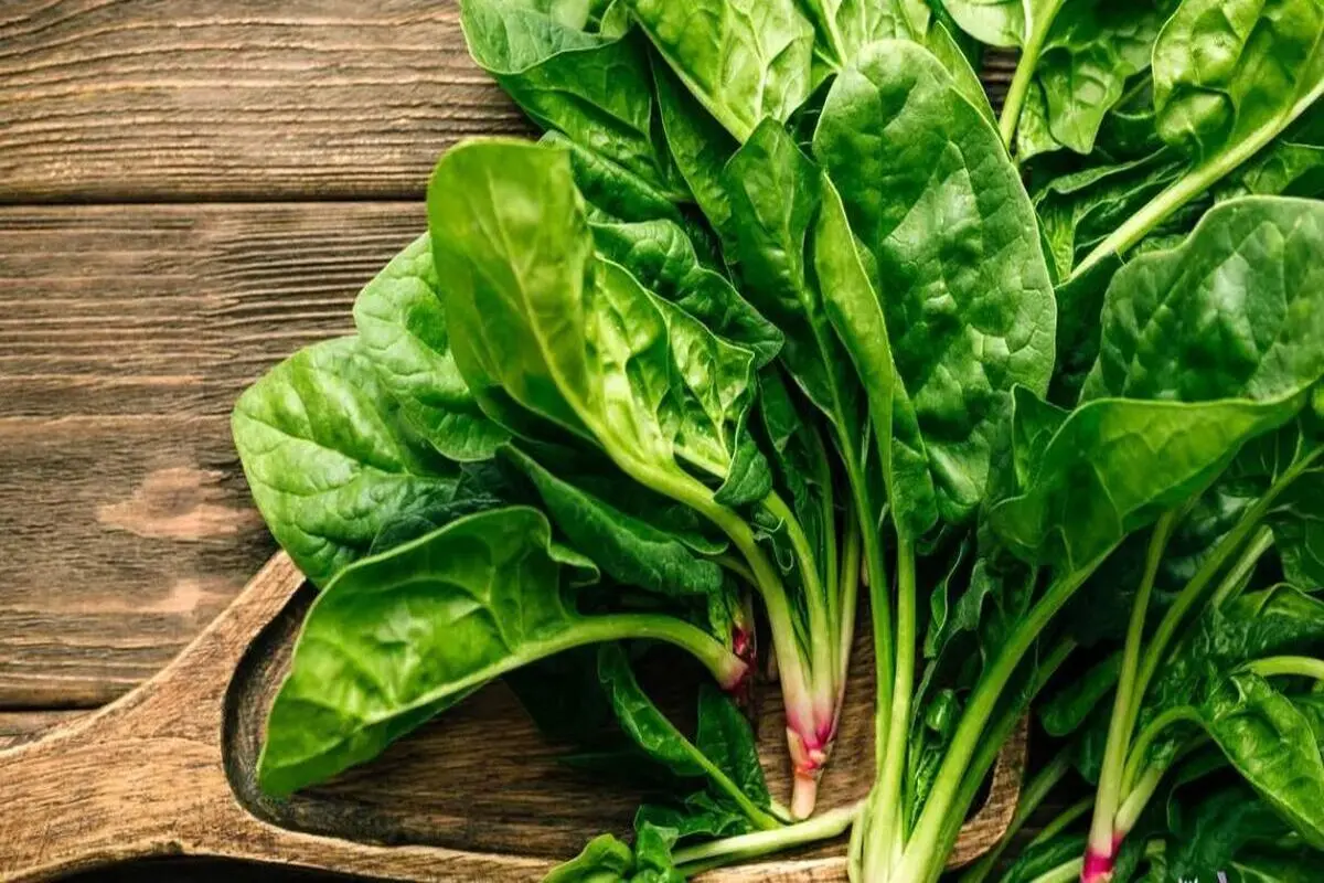 یک سبزی ارزان برای بیماران مبتلا به فشارخون