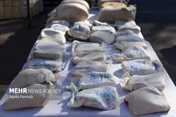 Over 2.7 tons of narcotics seized in Bushehr