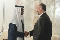 رئیسی از محمد بن زاید برای سفر به ایران دعوت کرد

