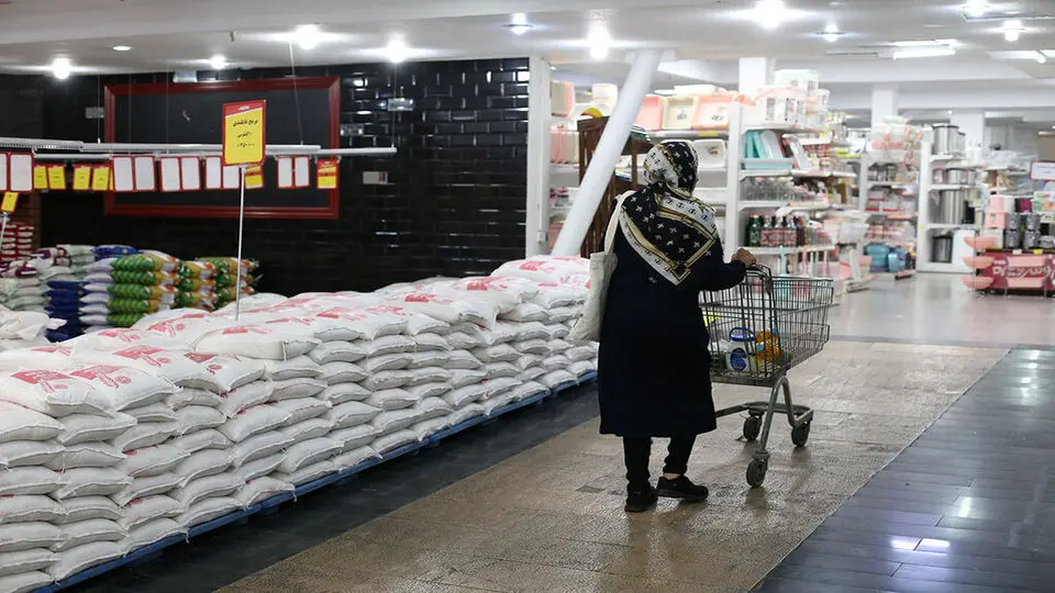 قیمت برنج؛ جهش ۲۴۰ درصدی از شالیزار تا فروشگاه/ طارم و هاشمی چند؟

