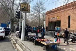 ایستگاه مترو پارک لاله ، آسیب‌زا یا ضروری؟
