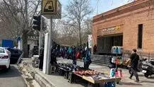 ایستگاه مترو پارک لاله ، آسیب‌زا یا ضروری؟