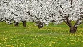 در ستایش رفتن، در تمنای رهایی