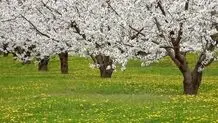 پیش بینی هوای لرستان فردا 27 فروردین 1405