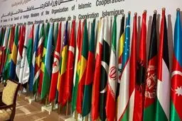 راهکارهای پیش روی سازمان همکاری اسلامی برای جلوگیری از هتک حرمت مقدسات

