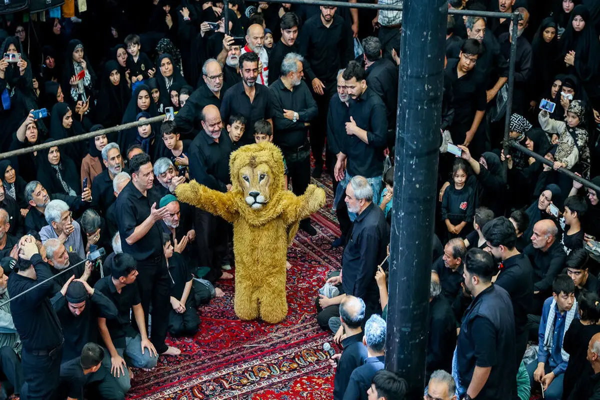 عکس‌هایی که ایسنا از شیر تعزیه منتشر کرد