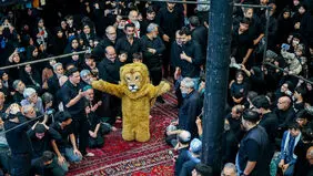 عکس‌هایی که ایسنا از شیر تعزیه منتشر کرد