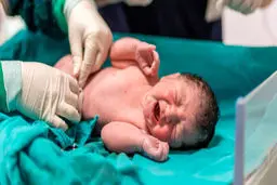 تشکیل ۵۷۰۰ پرونده ناباروری در خراسان رضوی


