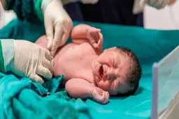 تشکیل ۵۷۰۰ پرونده ناباروری در خراسان رضوی

