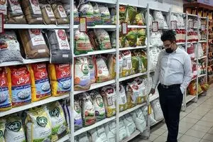 قیمت انواع برنج در اواخر مرداد ۱۴۰۴/ ارزان ترین برنج چقدر قیمت دارد؟
