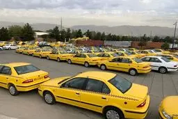 واکنش اتحادیه تاکسیرانی به قتل الهه حسین‌نژاد/ حمل و نقل مسافر بدون مجوز، غیرقانونی است 