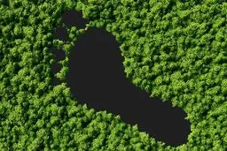 هوش مصنوعی چگونه می‌تواند ردپای کربن جهانی را کاهش دهد؟
