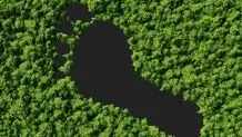 هوش مصنوعی چگونه می‌تواند ردپای کربن جهانی را کاهش دهد؟