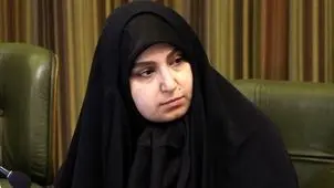 نرجس سلیمانی: نظارت شورا بر تخلفات ساختمانی به معنای مداخله در امور اجرایی نیست