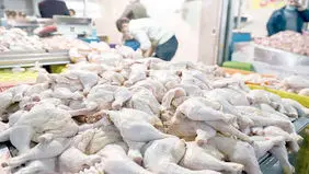 سرنخ گمشده گرانی
