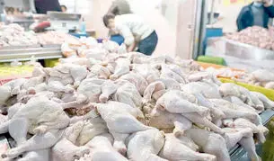 سرنخ گمشده گرانی
