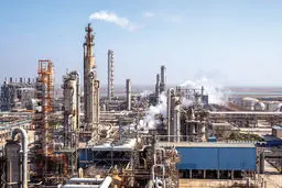 بلای خام‌فروشی