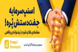 تغییر در بیلبوردهای اسنپ‌سرمایه؛ چرا کمپین اسنپ‌سرمایه تغییر کرد؟