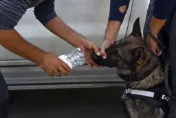 انفجار گاز در نیشابور/ امدادگران به محل اعزام شدند