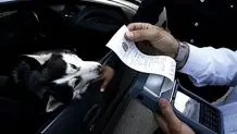 سگ‌گردانی با خودرو در تهران هم ممنوع است