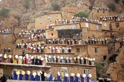 شور زندگی