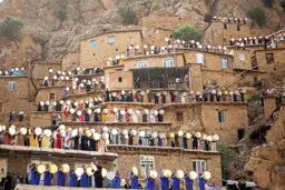 شور زندگی