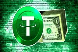 آیا Binance Wallet برای usdt مناسب است؟