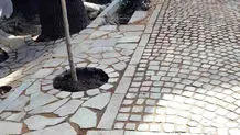 سیاست‌های صفر و یک، کیفیت زندگی و منابع آب ایران را  تهدید می‌کنند
