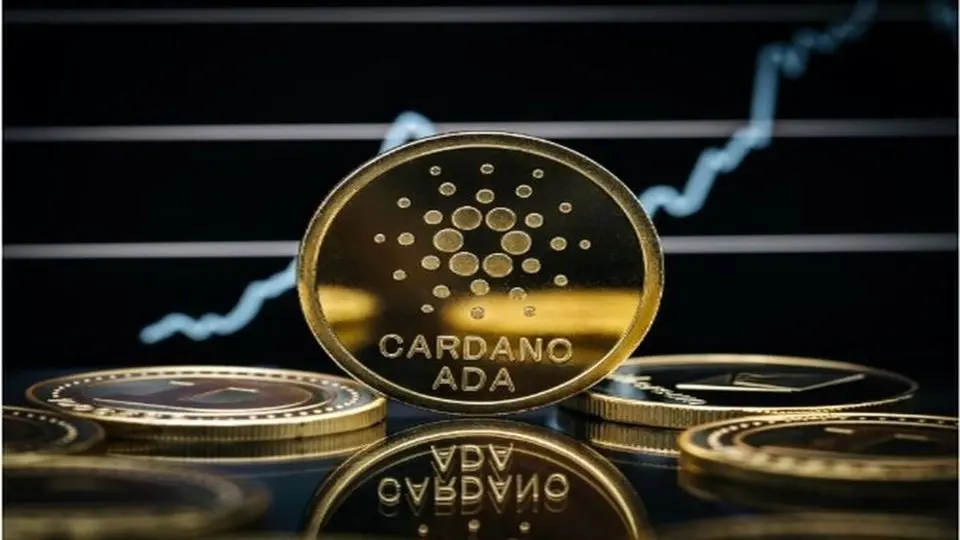 پیش بینی مهم درباره قیمت کاردانو