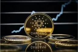 پیش بینی مهم درباره قیمت کاردانو
