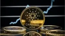 پیش بینی مهم درباره قیمت کاردانو
