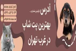 لیست بهترین پت شاپ های غرب تهران (آدرس + تلفن)