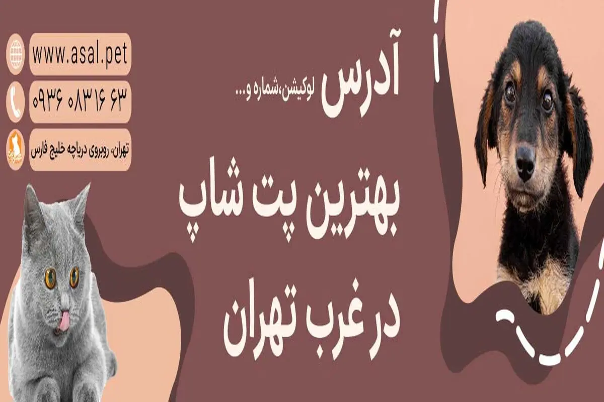 لیست بهترین پت شاپ های غرب تهران (آدرس + تلفن)