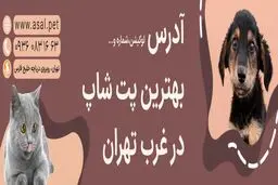 لیست بهترین پت شاپ های غرب تهران (آدرس + تلفن)