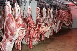 قیمت گوشت قرمز امروز دوشنبه ۲۰ مهر ۱۴۰۵/ گوشت گوسفندی و گوساله کیلویی چند؟ + جدول