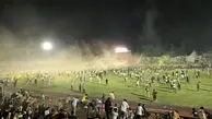 جشن شیرازی‌های در شب قهرمانی فجر سپاسی