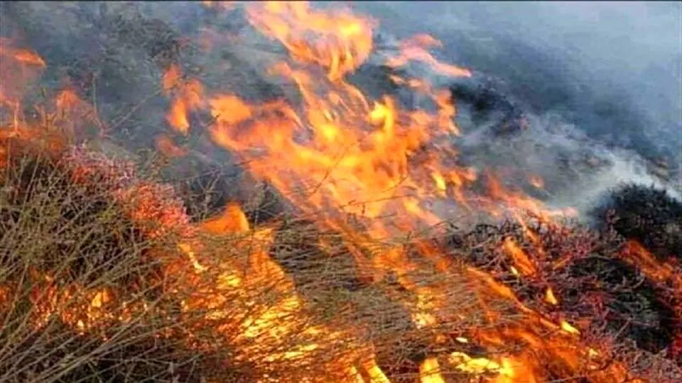 آتشسوزی در ارتفاعات کبیرکوه دره شهر به دلیل وزش بادهای شدید + ویدیو