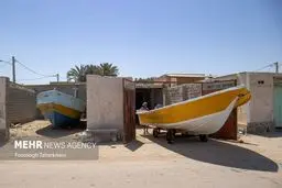 از ساحل خان تا پرورش میوه پاپایا در دزفول