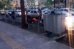 ضارب پاکبان بازداشت شد 
