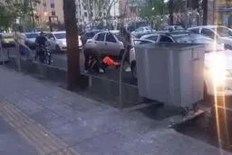 ضارب پاکبان بازداشت شد 