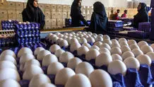 قیمت طلای جهانی؛ یکشنبه ۱۱ خرداد ۱۴۰۴/ ریزش قیمت طلای جهانی تا کجا ادامه درد؟ 
