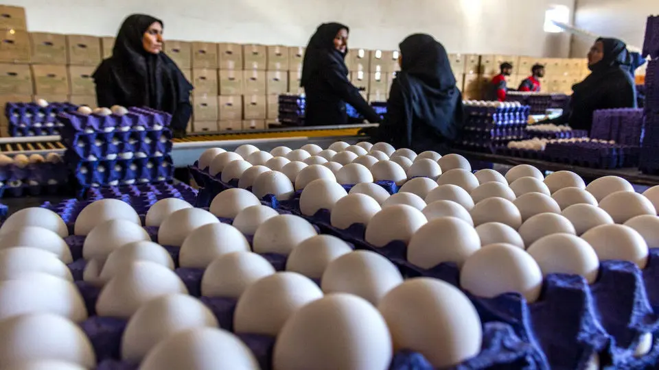 بازار عراق را واگذار کردیم