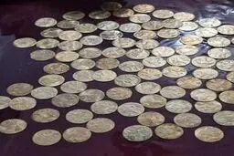 سکه‌های تقلبی و کلاهبرداری در الیگودرز؛ متهم دستگیر شد