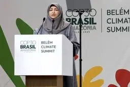 ماجرای درخواست 50 میلیاردی شینا انصاری برای سفر به برزیل چه بود؟

