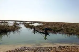 نصف تالاب هورالعظیم آبگیری نشد