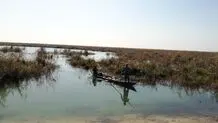 نصف تالاب هورالعظیم آبگیری نشد